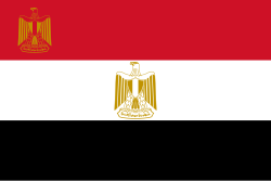 Aid transport and relief supplies Egypt
